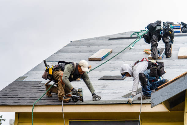 Professional Roofing technician working in Campbell, MN